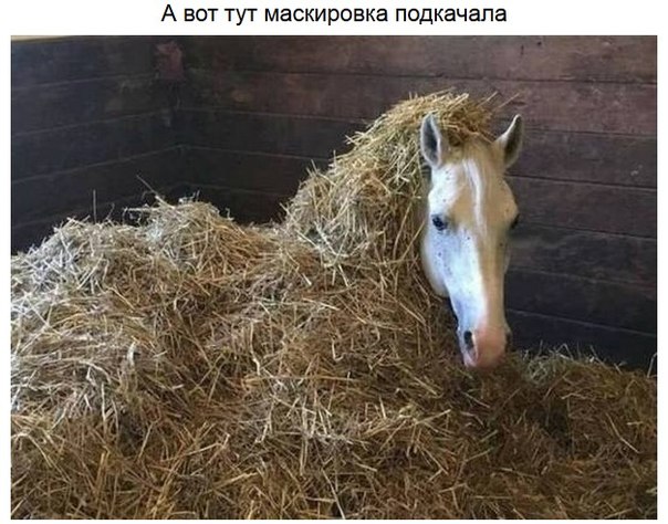 Стоит приглядеться, чтобы понять что тут! )