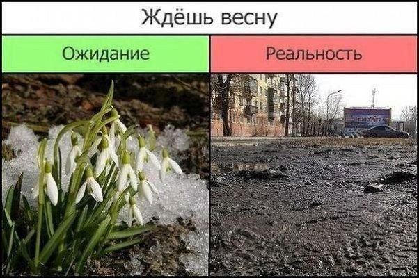 Ожидание и реальность