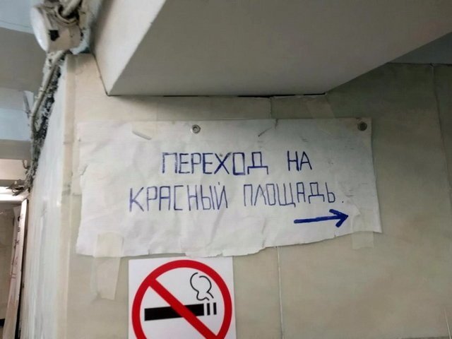 Прикольные картинки