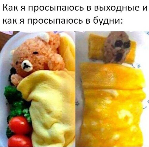 Забавные фотомемы