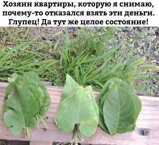 Картинки для улыбки