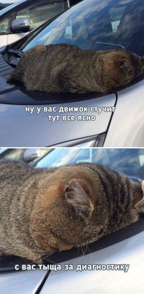 Свежие АВТОприколы