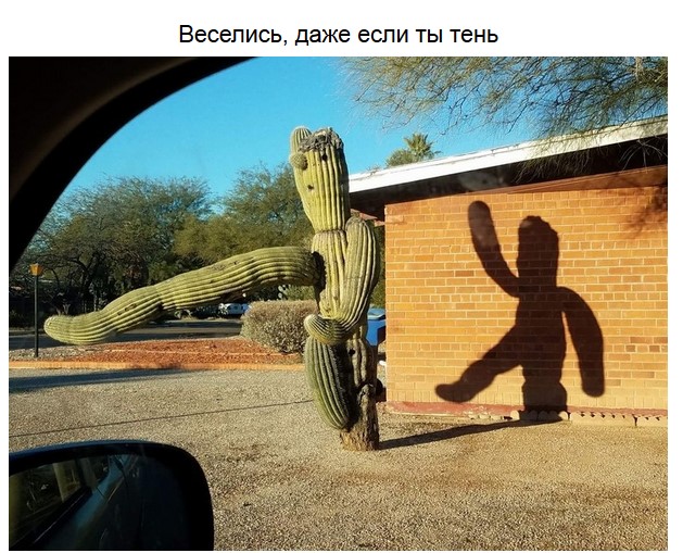 Смешные тени