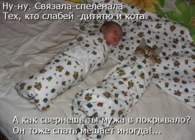 Котоматрицы новые для всех