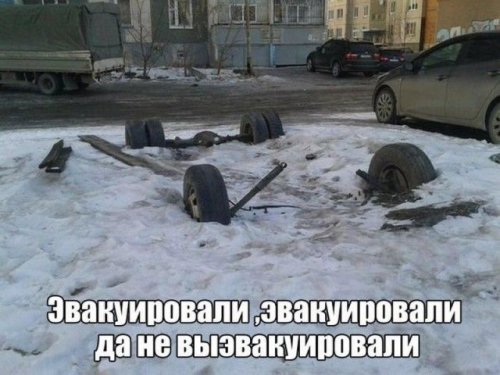 Забавные фотоприколы