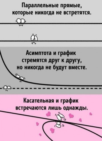 Науке тоже известны настоящие страсть и драма