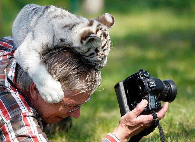 Фотограф-натуралист – самая забавная работа в мире