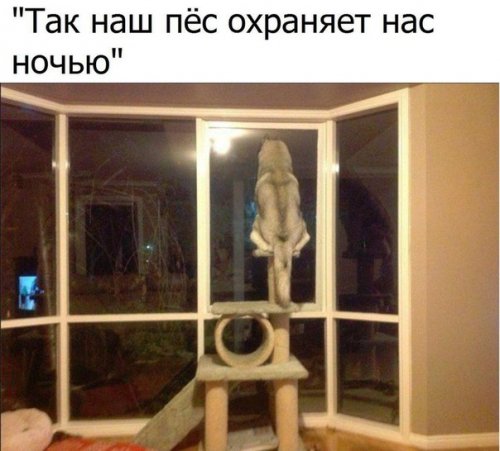 Новая коллекция фотомемов