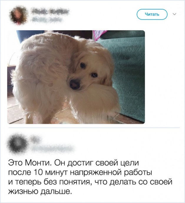 Забавные твиты