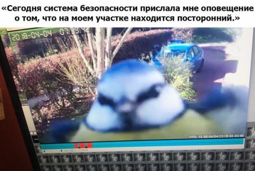 Свежие и прикольные фотомемы