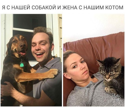 Прикольные фотомемы