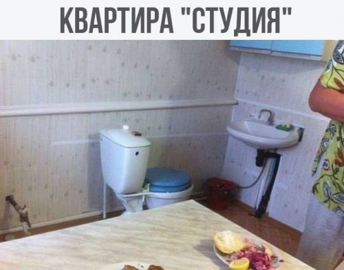 Смешные картинки с подписями