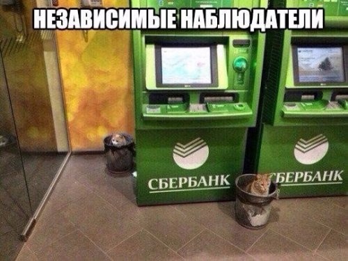 Смешные фотомемы