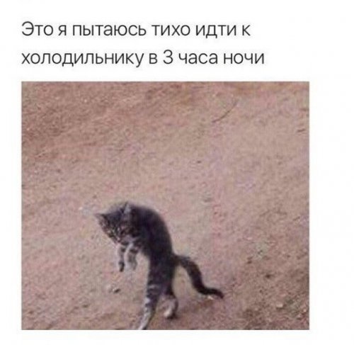 Забавные фотоприколы