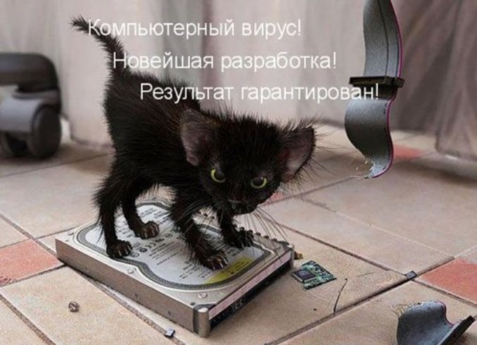 Котоматрица для всех