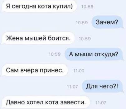 Прикольные картинки для настроения