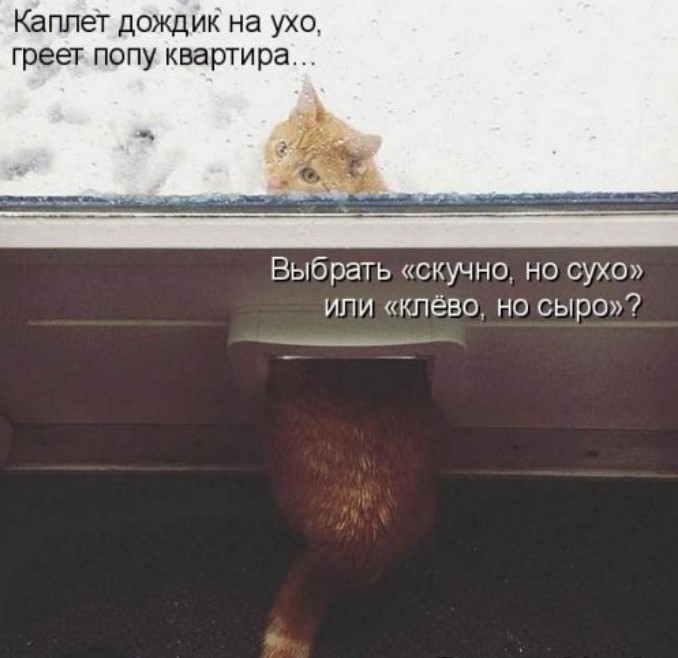 Котоматрица для всех