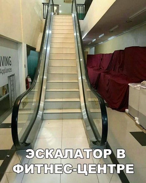 Свежая порция фотомемов