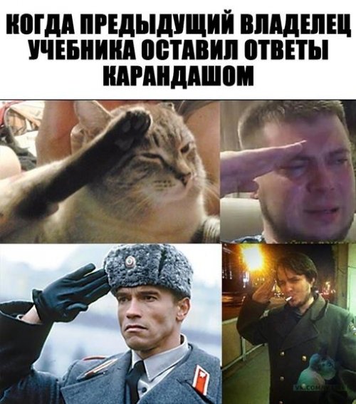 Смешные фотомемы