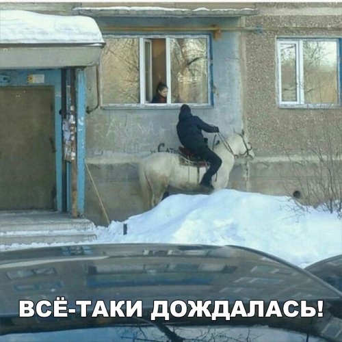 Очень забавные фотоприколы