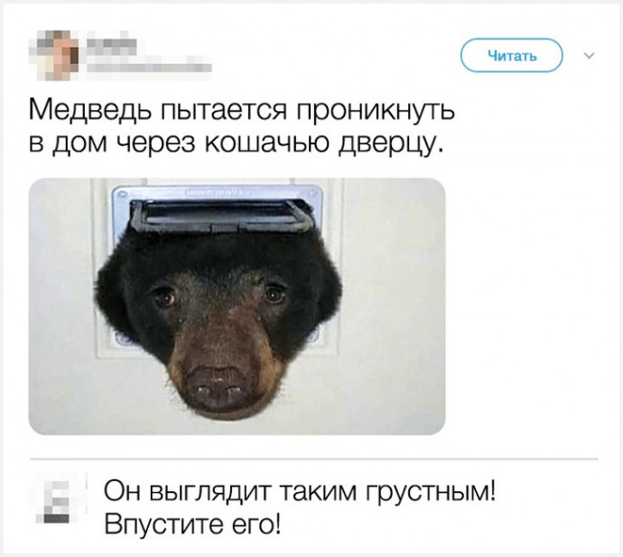 Очень забавные твиты