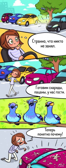 Забавное о автолюбителях