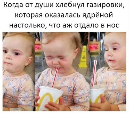 Забавные фотомемы