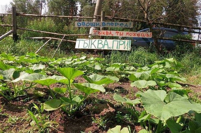 Наши сограждане в любой ситуации полны юмора и оптимизма