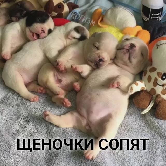 Музыкальная минутка